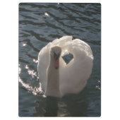 美しい白い白鳥 クリップボード (裏面)