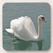 美しい白い白鳥 コースター (正面)