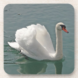美しい白い白鳥 コースター