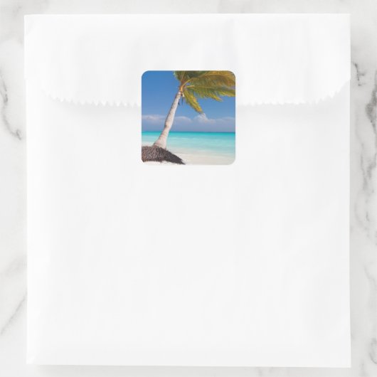 美しい白い砂の上にヤシの木のビーチ スクエアシール (バッグ)