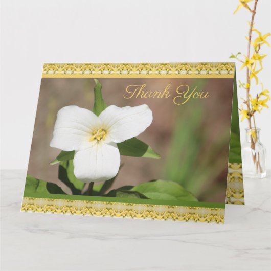 美しい白い花 カード (黄色い花)