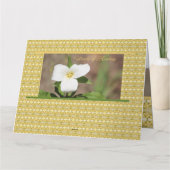 美しい白い花 カード (裏面)