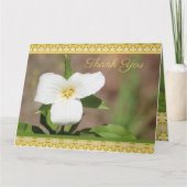 美しい白い花 カード (正面)