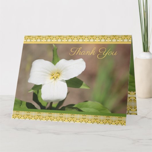 美しい白い花 カード (正面)