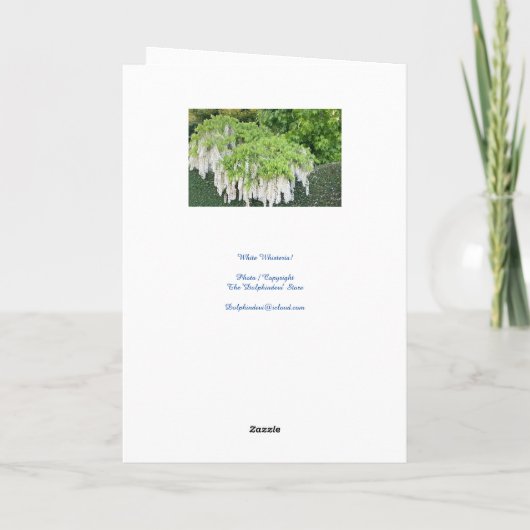 美しい白い藤のイースター メッセージカード カード (裏面)