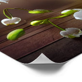 美しい白い蘭のフローラブーケ ポスター (角)