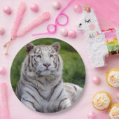 美しい白い虎の写真 ペーパープレート (パーティー)