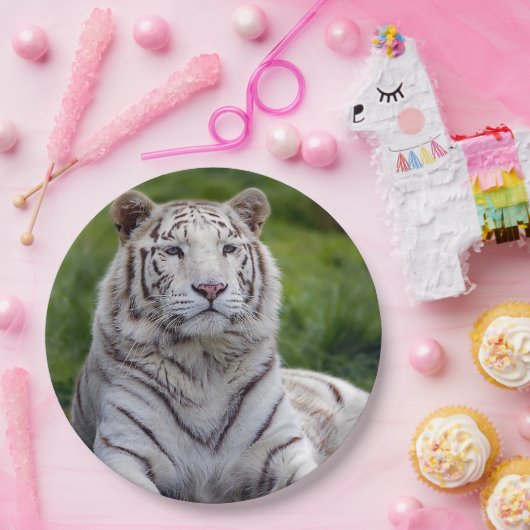 美しい白い虎の写真 ペーパープレート (パーティー)