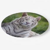 美しい白い虎の写真 ペーパープレート (アングル)