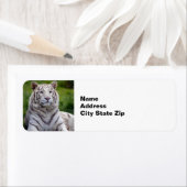 美しい白い虎の写真 ラベル (インサイチュ)