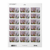 美しい白い虹彩花 ラベル (フルシート)