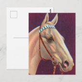 美しい白い馬 ポストカード (正面/裏面)