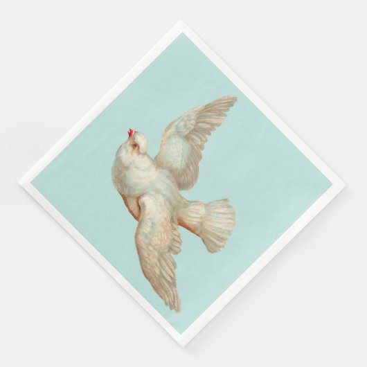 美しい白い鳩 (コーナー)