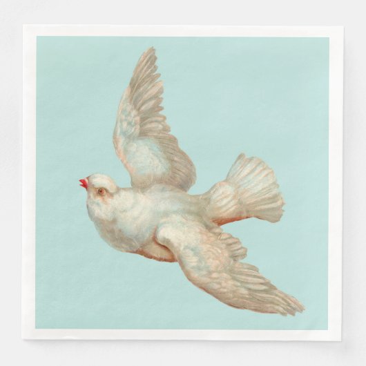 美しい白い鳩 (正面)