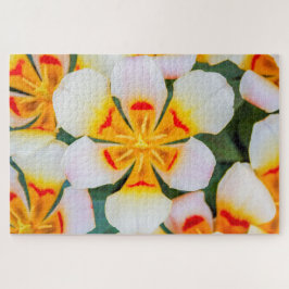 美しい白とオレンジと赤の花 ジグソーパズル