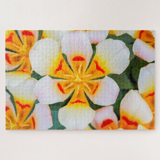 美しい白とオレンジと赤の花 ジグソーパズル (横)