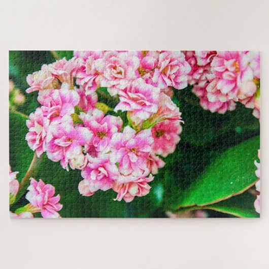 美しい白とピンクの花 ジグソーパズル (横)