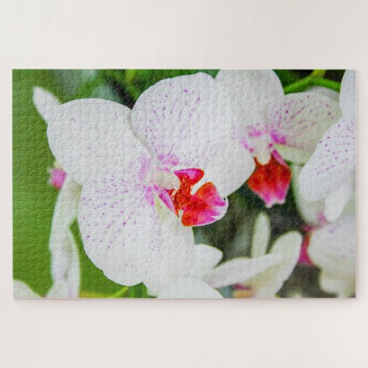 美しい白と赤の花 ジグソーパズル (横)