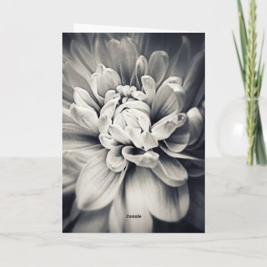 美しい白と黒考えるの花 カード (裏面)