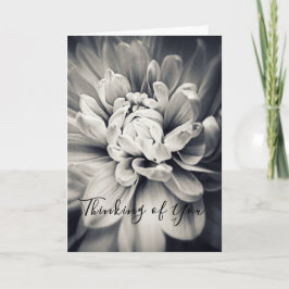 美しい白と黒考えるの花 カード