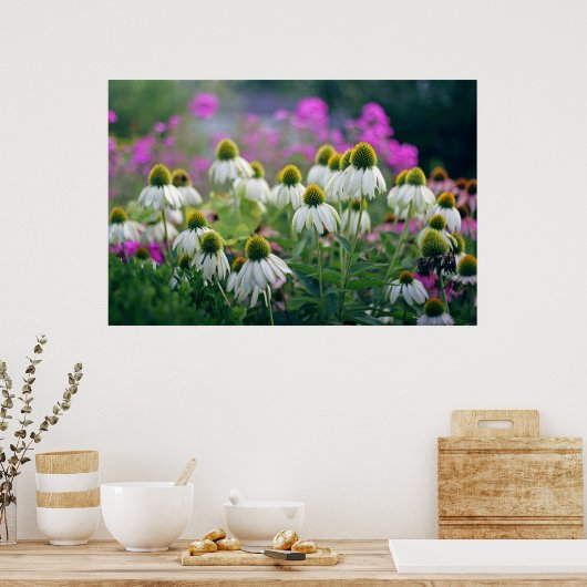 美しい白エレガントの紅花 ポスター (キッチン)