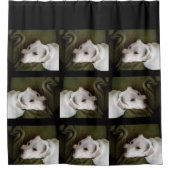 美しい白エレガントラブラドールミックス犬 シャワーカーテン (正面)