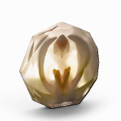 美しい白オーキッドプリントフォトブロック フォトブロック (左)