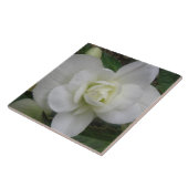 美しい白カーネーションタイル タイル (側面)