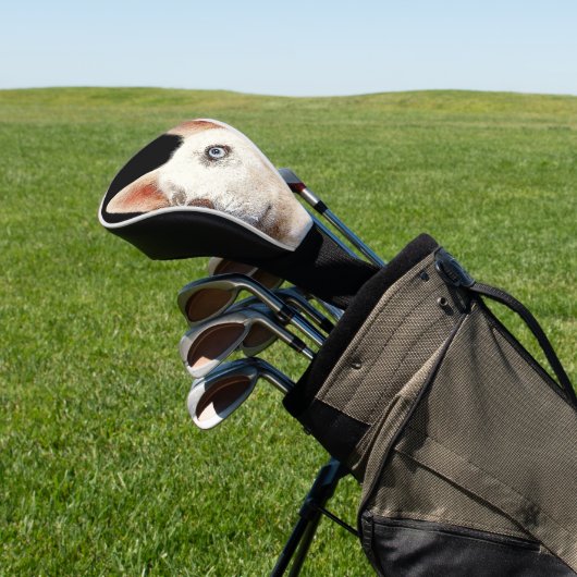 美しい白シベリアのハスキー犬 ゴルフヘッドカバー (インサイチュ)