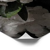 美しい白シャクナゲ開花フローラ ポスター (コーナー)