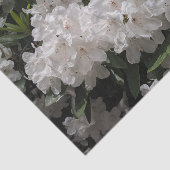 美しい白シャクナゲ開花フローラ 薄葉紙 (詳細)