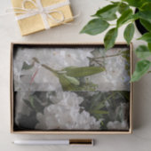 美しい白シャクナゲ開花フローラ 薄葉紙 (ギフト)