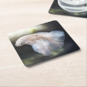 美しい白シャメスベッタファイティングフィッシュ スクエアペーパーコースター (アングル)