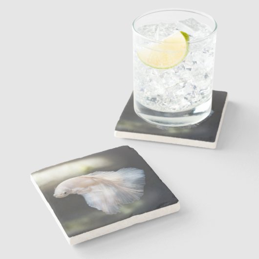 美しい白シャメスベッタファイティングフィッシュ ストーンコースター (横)