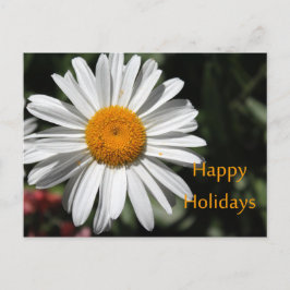 美しい白デイジーの花happy holidaysフローラ シーズンポストカード