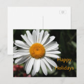 美しい白デイジーの花happy holidaysフローラ シーズンポストカード (正面/裏面)