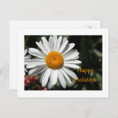 美しい白デイジーの花happy holidaysフローラ シーズンポストカード (正面/裏面)