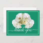 美しい白バラ色の背景シックありがとう ポストカード (正面/裏面)