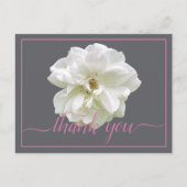 美しい白バラ色の背景シックありがとう ポストカード (正面)
