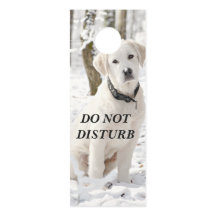 美しい白ピレネー