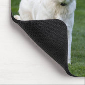 美しい白ラブラドール2025犬カレンダー マウスパッド (コーナー)