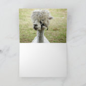 美しい白ラマ カード (内部)