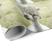 美しい白ラマ ラッピングペーパー (ロールコーナー)