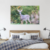 美しい白尾の鹿が畑に キャンバスプリント (インサイチュ (寝室))