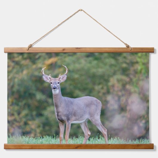 美しい白尾の鹿が畑に 吊り下げ型タペストリー (正面)