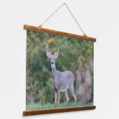 美しい白尾の鹿が畑に 吊り下げ型タペストリー (傾斜あり)