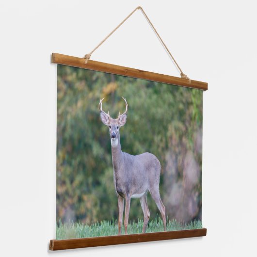 美しい白尾の鹿が畑に 吊り下げ型タペストリー (傾斜あり)