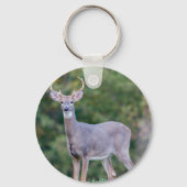 美しい白尾の鹿(畑) キーホルダー (正面)