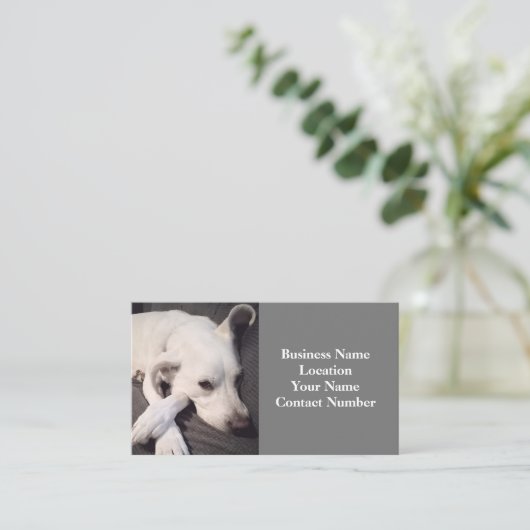 美しい白犬のグレーの写真 名刺 (スタンド正面)