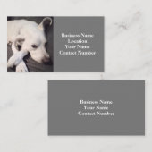 美しい白犬のグレーの写真 名刺 (正面/裏面)